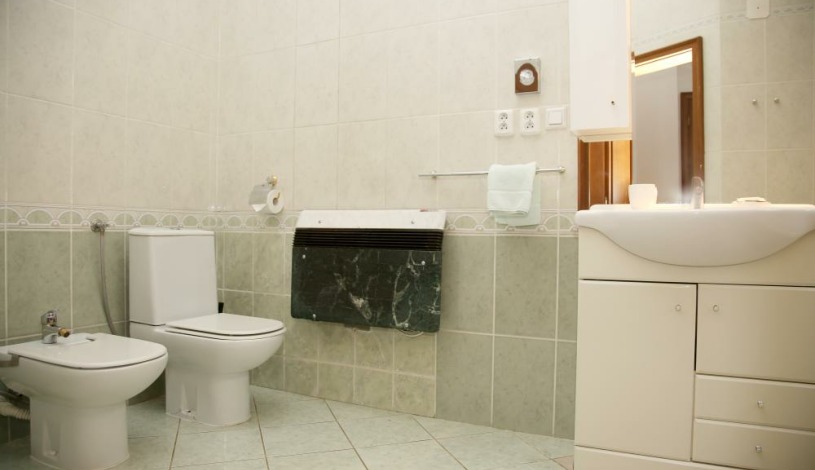 Villa Renan Karlovy Vary